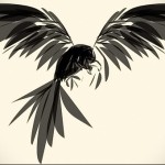 színes holló tetoválás vázlata 9