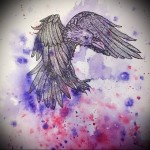 színes holló tetoválás vázlata 11