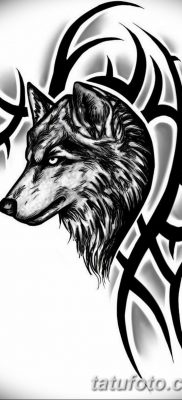 szkice tatuażu wilka dla mężczyzn 09.03.2019 №001 - szkice tatuażu -