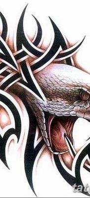 szkice tatuażu węża dla mężczyzn 09.03.2019 №037 - szkice tatuażu -