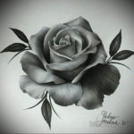 vázlat egyszerű rózsatetováláshoz 2019.09.15 №087 - vázlat rózsás tetováláshoz egyszerű -