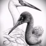 A STORK tetoválási vázlat tesztverziója - a rajz daru és sakura tetováláshoz alkalmas