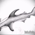 Egy érdekes példa a SHARK tetoválás vázlatára - a rajz alkalmas egy régi iskola cápa tetoválására