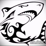 A SHARK tetoválási vázlat hűvös változata - a rajz alkalmas cápa tetováláshoz a cápa mellkasának rögzítéséhez