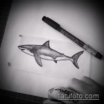 Egy egyedülálló példa a SHARK tetoválási vázlatra - a rajz alkalmas cápatetováláshoz cápa mellkasának rögzítéséhez