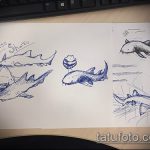 A SHARK tetoválási vázlat hűvös változata - a rajz alkalmas kalapácsfejű cápa tetoválásra