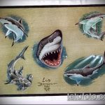 A SHARK tetoválás vázlatának hűvös változata - a rajz alkalmas törzsi cápa tetoválásra