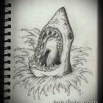 A SHARK tetoválási vázlat klassz változata - a rajz alkalmas a cápa tetoválására a karon