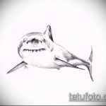 A cápa tetoválás vázlatának hűvös változata - a rajz alkalmas cápa száj tetoválására