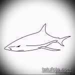 Jó példa a SHARK tetoválás vázlatára - a rajz alkalmas egy régi iskolai cápa tetoválásra