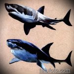 A SHARK tetoválás vázlatának érdekes változata - a rajz alkalmas törzsi cápa tetoválásra