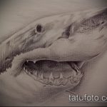 A SHARK tetoválás vázlatának tesztverziója - a rajz alkalmas a cápa tetoválására a hátán