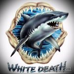 A SHARK tetoválás vázlatának remek példája - a rajz alkalmas cápa tetováláshoz a cápa mellkasának rögzítéséhez