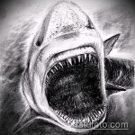 A SHARK tetoválás vázlatának hűvös változata - a rajz alkalmas cápa száj tetoválására