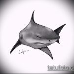 Egy remek példa a SHARK tetoválás vázlatára - a rajz alkalmas cápa tetoválásra a hátán