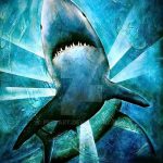 A SHARK tetoválási vázlat teszt példája - a rajz alkalmas cápa láb tetoválására