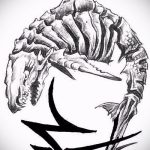 A SHARK tetoválás vázlatának tesztpéldája - a rajz alkalmas cápa váll tetoválására