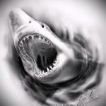 A cápa tetoválás vázlatának hűvös változata - a rajz alkalmas cápa láb tetoválásához