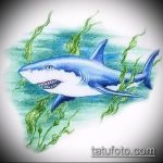 Jó példa a SHARK tetoválás vázlatára - a rajz alkalmas a polinéziai cápa tetoválására