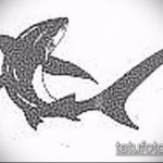 A SHARK tetoválás vázlatának hűvös változata - a rajz alkalmas egy régi iskola cápa tetoválására