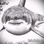 A SHARK tetoválás vázlatának érdekes változata - a rajz alkalmas cápa láb tetoválására