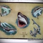 A SHARK tetoválás vázlatának hűvös változata - a rajz cápa váll tetováláshoz alkalmas