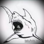 Egy érdekes példa a SHARK tetoválás vázlatára - a rajz alkalmas kalapácsfejű cápa tetoválásra