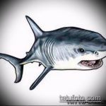A cápa tetoválás vázlatának hűvös változata - a rajz alkalmas cápa száj tetoválására