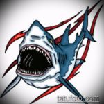 A SHARK tetoválási vázlat hűvös változata - a rajz alkalmas kalapácsfejű cápa tetoválásra