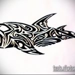 A SHARK tetoválás vázlatának egyedi változata - a rajz alkalmas a cápa tetoválására a karon