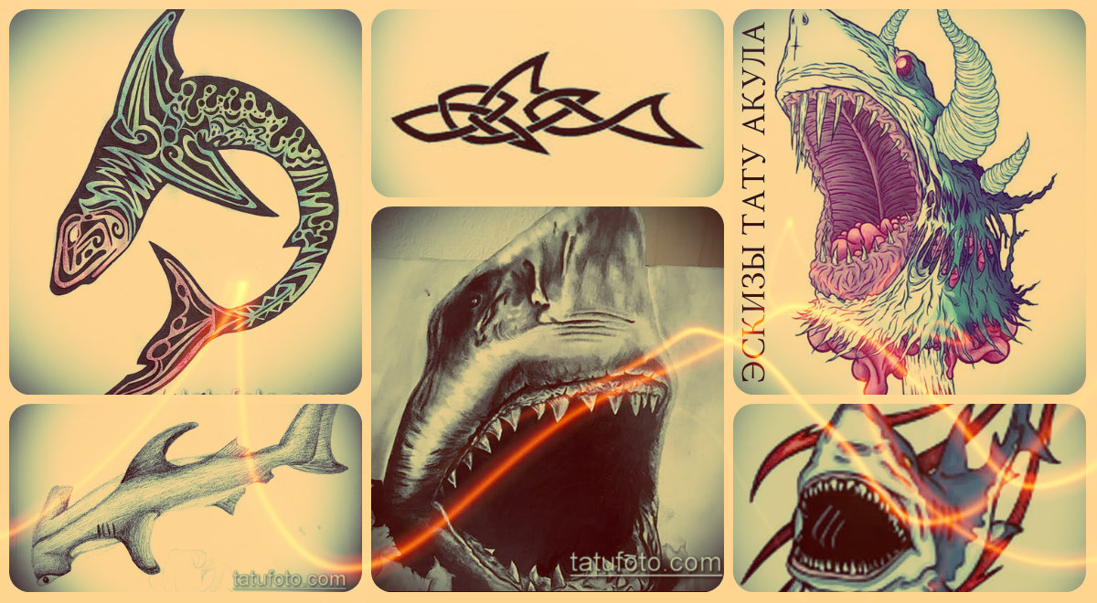 Cápa tetoválás vázlatok - egyedi tervek a cápa tetoválás ötlet létrehozásához