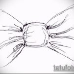 vázlat egy 351 -es számú íj -tetoválásról - a minta érdekes változata, amely könnyen használható az íj megváltoztatására és tetőként való felhelyezésére