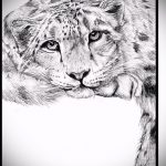 رسم لوشم النمر # 782 هو نسخة جديرة بالرسم يمكن استخدامها بنجاح للتحويل والتطبيق كوشم النمر على الكتف