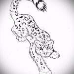 رسم تخطيطي لوشم النمر # 991 - نسخة رائعة من الرسم يمكن استخدامها بنجاح للتحويل والتطبيق كوشم النمر على شفرة الكتف