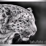 رسم وشم النمر # 64 هو نسخة مثيرة للاهتمام من الرسم الذي يمكن استخدامه بسهولة للمعالجة والتطبيق كوشم النمر.