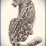 رسم تخطيطي لوشم النمر №784 - نسخة حصرية من الرسم يمكن استخدامها بسهولة للتحويل والتطبيق كوشم النمر على الذراع