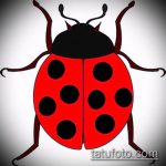 vázlat a katicabogár tetoválás 74. számáról - a minta hűvös változata, amely könnyen használható katicabogár tetoválásként a realizmusban