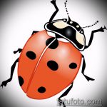 vázlat a katicabogár tetoválás 811 számáról - a minta érdekes változata, amely sikeresen használható az árnyékú katicabogár tetoválásaként történő feldolgozására és alkalmazására