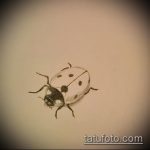 vázlat a katicabogár tetoválásról a 721 -es számról - a minta hűvös változata, amely sikeresen használható a katicabogár lábakon történő megváltoztatására és tetoválására