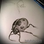 vázlat a 451 -es katicabogár tetoválásról - a kép méltó változata, amely jól használható a katicabogár lábakon való megváltoztatására és tetoválására