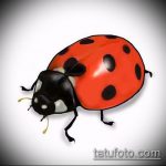 katicabogár tetoválás vázlata # 595 - a minta érdekes változata, amely jól használható a katicabogár tetoválásához az ujjon