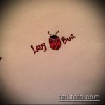 katicabogár tetoválás vázlata # 572 - a minta exkluzív változata, amely jól használható változtatásra és katicabogár -tetoválásként történő alkalmazásra 3D -ben