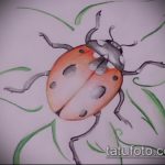 vázlat a katicabogár tetoválásról, a 641 -es számról - a minta exkluzív változata, amely jól használható átalakítására és katicabogár tetoválására egy százszorszépen