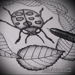 vázlat a katicabogár tetoválásról # 578 a minta klassz változata, amely könnyen használható átalakítására és alkalmazására katicabogár tetoválásként árnyékkal