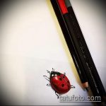 vázlat egy katicabogár tetoválásról, 6