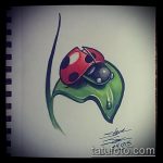 katicabogár tetoválás vázlata # 464 - a minta exkluzív változata, amely sikeresen használható a katicabogár lábán tetoválásként történő átalakításra és alkalmazásra