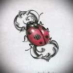 910 -es katicabogár tetoválás vázlata - a minta érdekes változata, amely sikeresen használható feldolgozásra és tetováló katicabogárként történő alkalmazásra árnyékkal