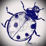 919 -es katicabogár tetoválás vázlata - a minta érdekes változata, amelyet sikeresen lehet használni katicabogár -tetoválásként 3D -ben