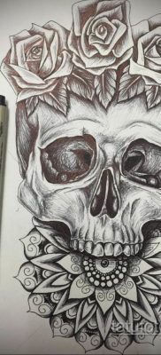 Szkic tatuażu czaszki na -