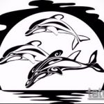 dolphin tattoo sketch №382 - a worthy version of the picture, which can be successfully used to transform and apply as a dolphin tattoo on the leg